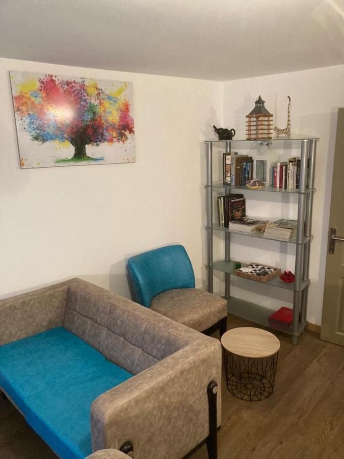 Appartement plein pied 45 m2 Baccarat Exterior foto